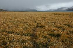 Thick fogs hides the Yamdrok Tso for most of the day; in the evening the fog slowly moves away and reveals the turquoise lake.