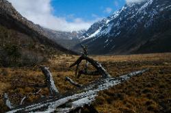 On the flat valley floor of Deuthang.