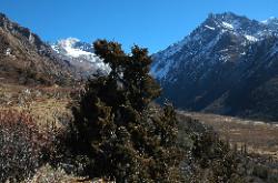 A beautiful forest covered the valley once; most trees were cut-down and it takes awhile to get used to it.