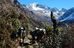 Last day of walking from Deuthang down to the road; just a short walk of an hour.