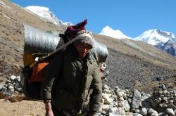 Pema Gyatso is a local farmer; great guide and incredibly strong porter. He usually carries double loads.