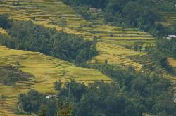 The capital is quite busy; but on the surrounding hillsides are just isolated houses with green terraced rice fields.