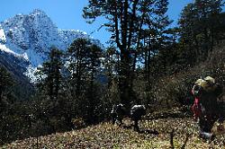 After enjoying the fine morning and recovering from yesterday, we finally pack and march through the beautiful forest and sunny clearings down towards Etini.