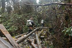 Snow, sleet, rain - all the way until we reach the forest and stumble on incredibly muddy paths through the forest. The worst part of the walk is a very, very shaky and partly rotten bridge where the rope only gives psychological help.