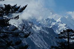 It's only half a day to Thalem, a clearing where will set up camp. Kangchenjunga rises above the trees, and its south summit just makes it through the mist.