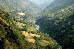 After a long descent the ricefields of Lingzan finally appear below us. A road ends here, and instead of walking 4 hours to Mangan tomorrow, we will take a taxi if we manage to order one.