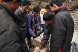 The next morning we start the trek near Yumthang. The porters draw lots to decide who was to carry which load.