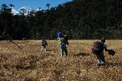 The way down through thick forest is strenuous, and even the flat parts across muddy meadows require some attention.