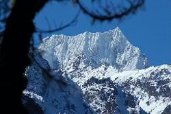 Siniolchu is a stunning peak and dominates the scenery in the lower Zemu valley.