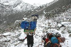 We climb slowly up to the foot of Laba La through slopes of rhododendron.