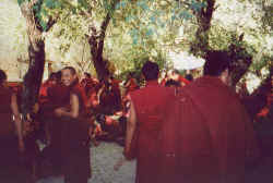 Monks in Sera 