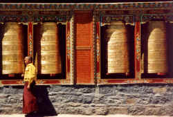 Monk in Sakya